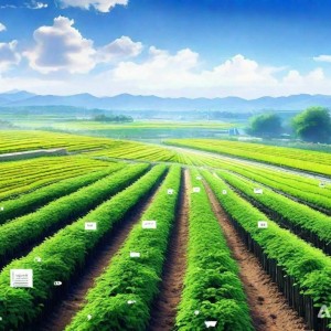 区块链赋能计算机视觉驱动的智能营销创新策略
