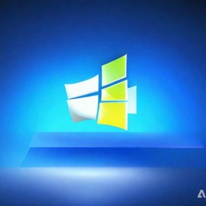 动态跨界融合：服务器开发资源整合与站长速成指南