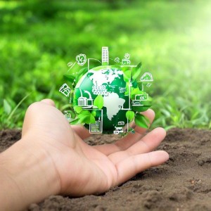 数据赋能网格设计：差异化网站驱动策略