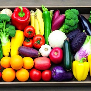 Unix系统软件包高效管理与环境搭建指南