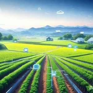 物联网赋能：移动互联架构在数码生态中的革新演进