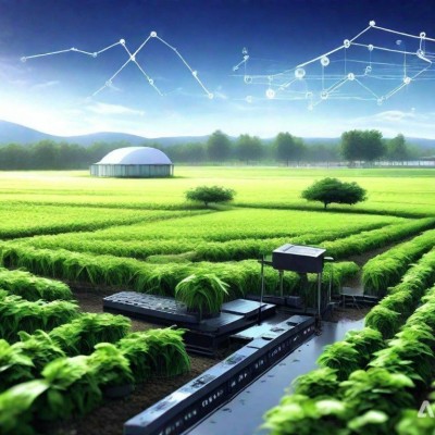 创业公司飞跃策略：精准速扩的有效把握与实施路径